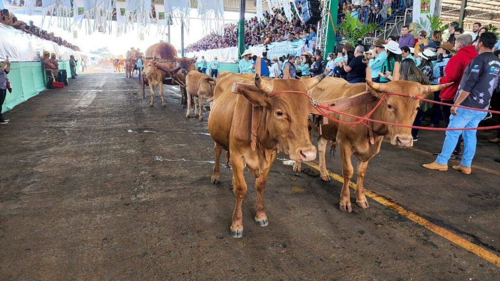 Por proposta de Cristiano Galindo, desfile de carreiros pode se tornar patrimônio histórico e cultural